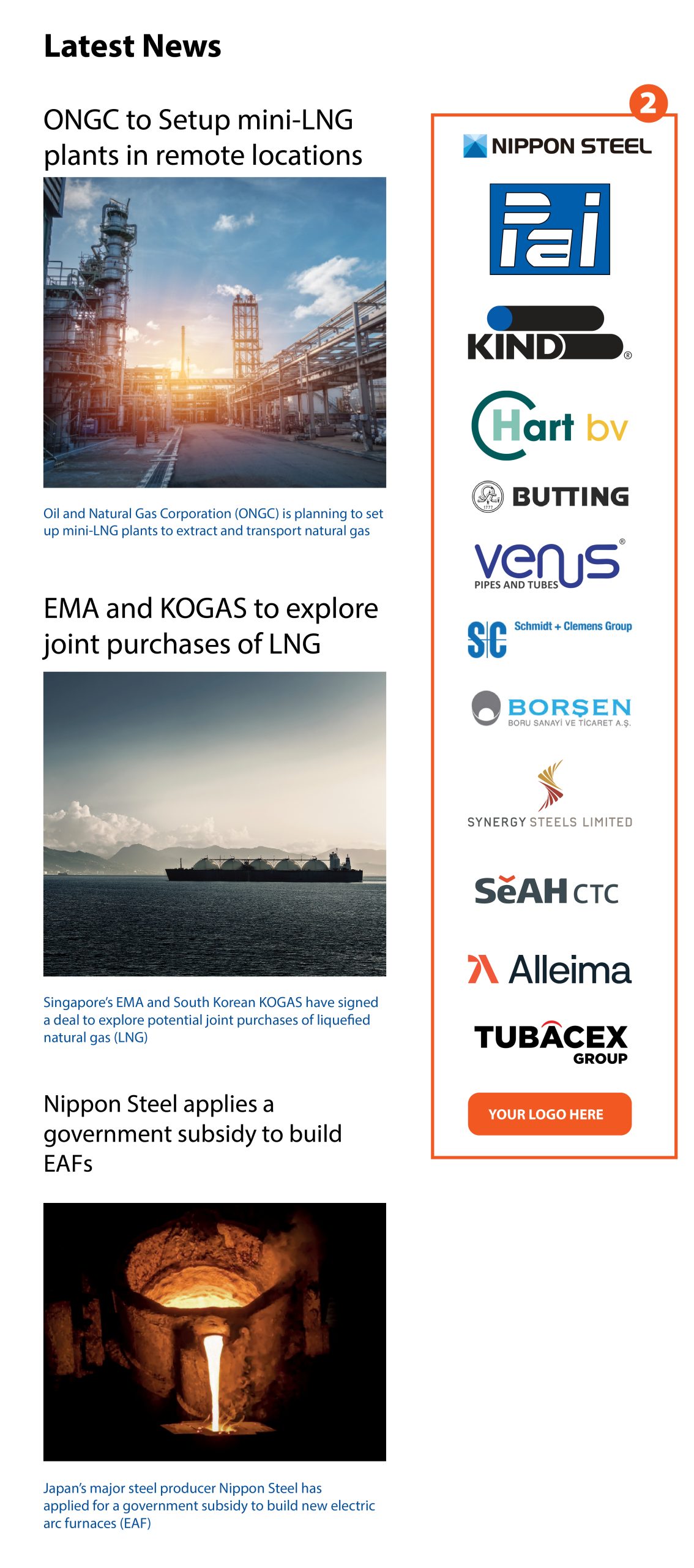 Newsletter Logo Banner